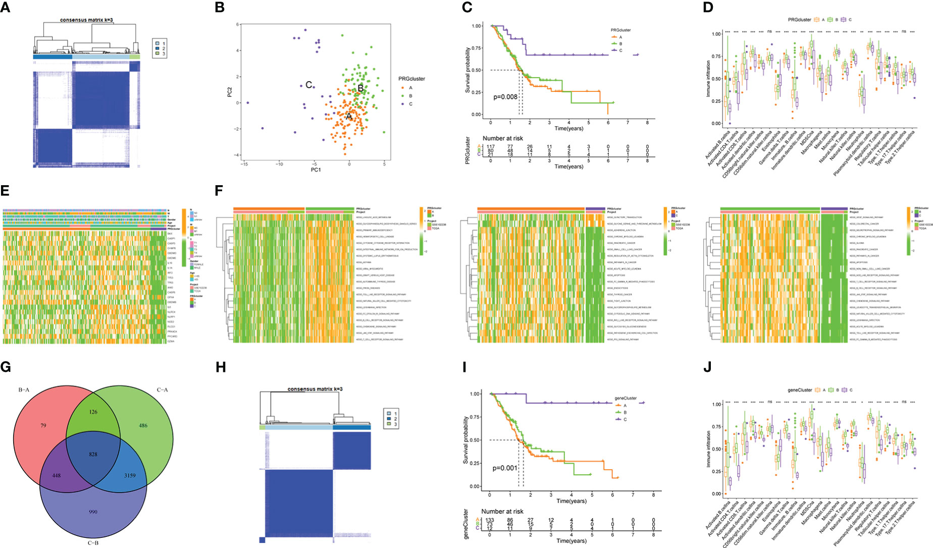 Frontiers | Construction and comprehensive analysis of a Frontiers | Construction and comprehensive analysis of a