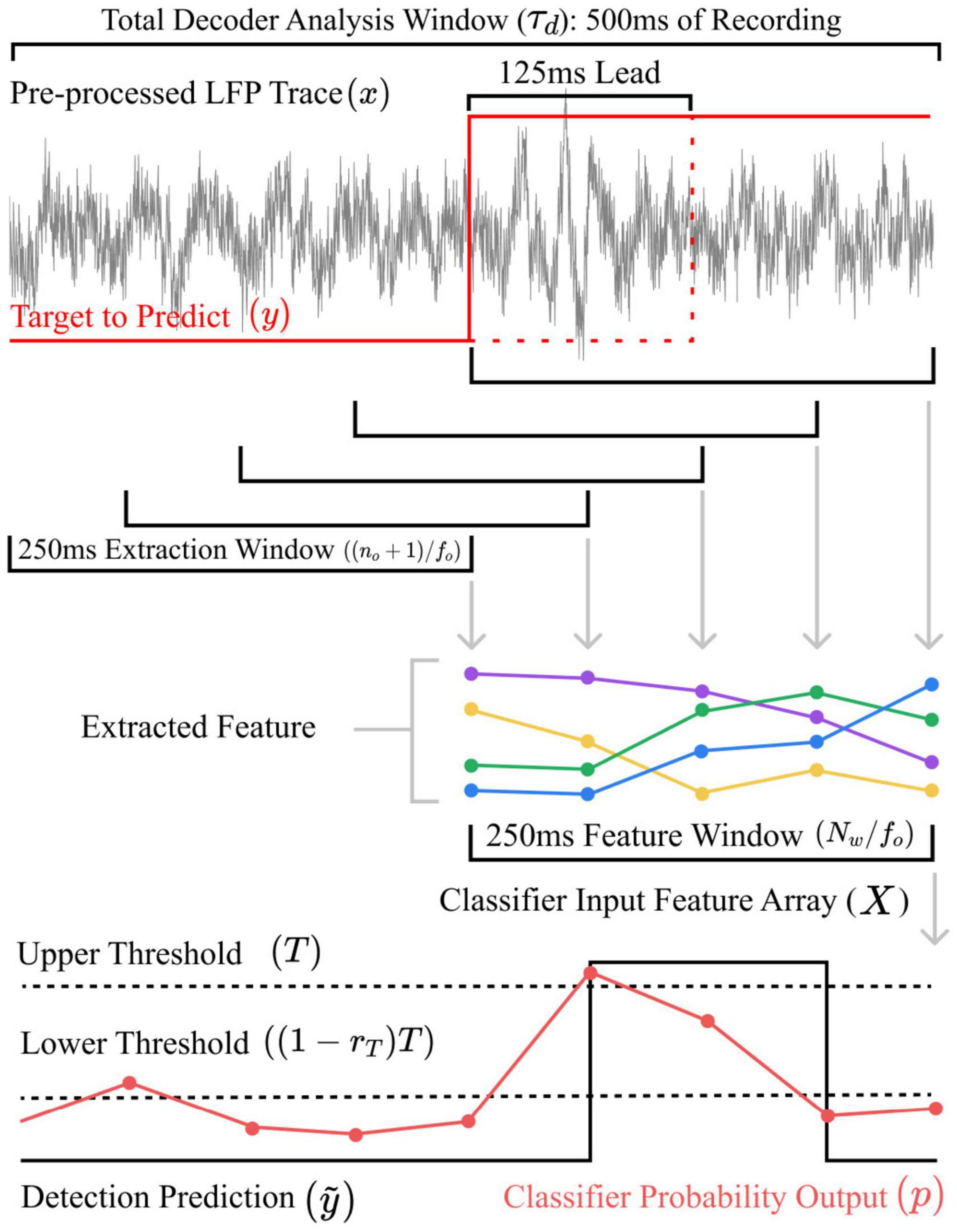 Frontiers  Audiovestibular Quantification in Rare Third Window