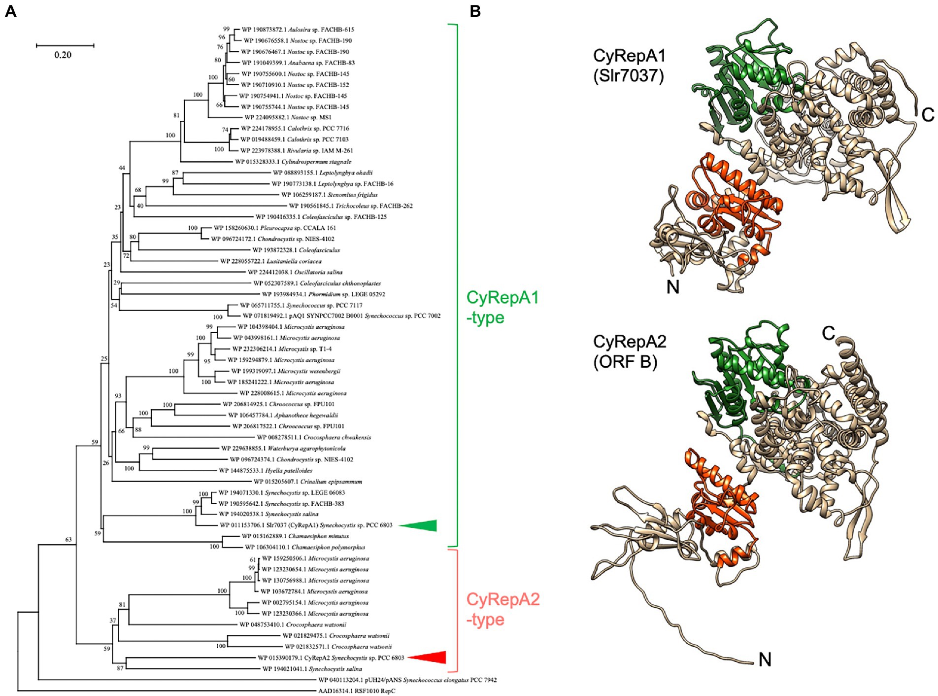 Researchers develop new method to analyze proteins in ecologically  significant moss