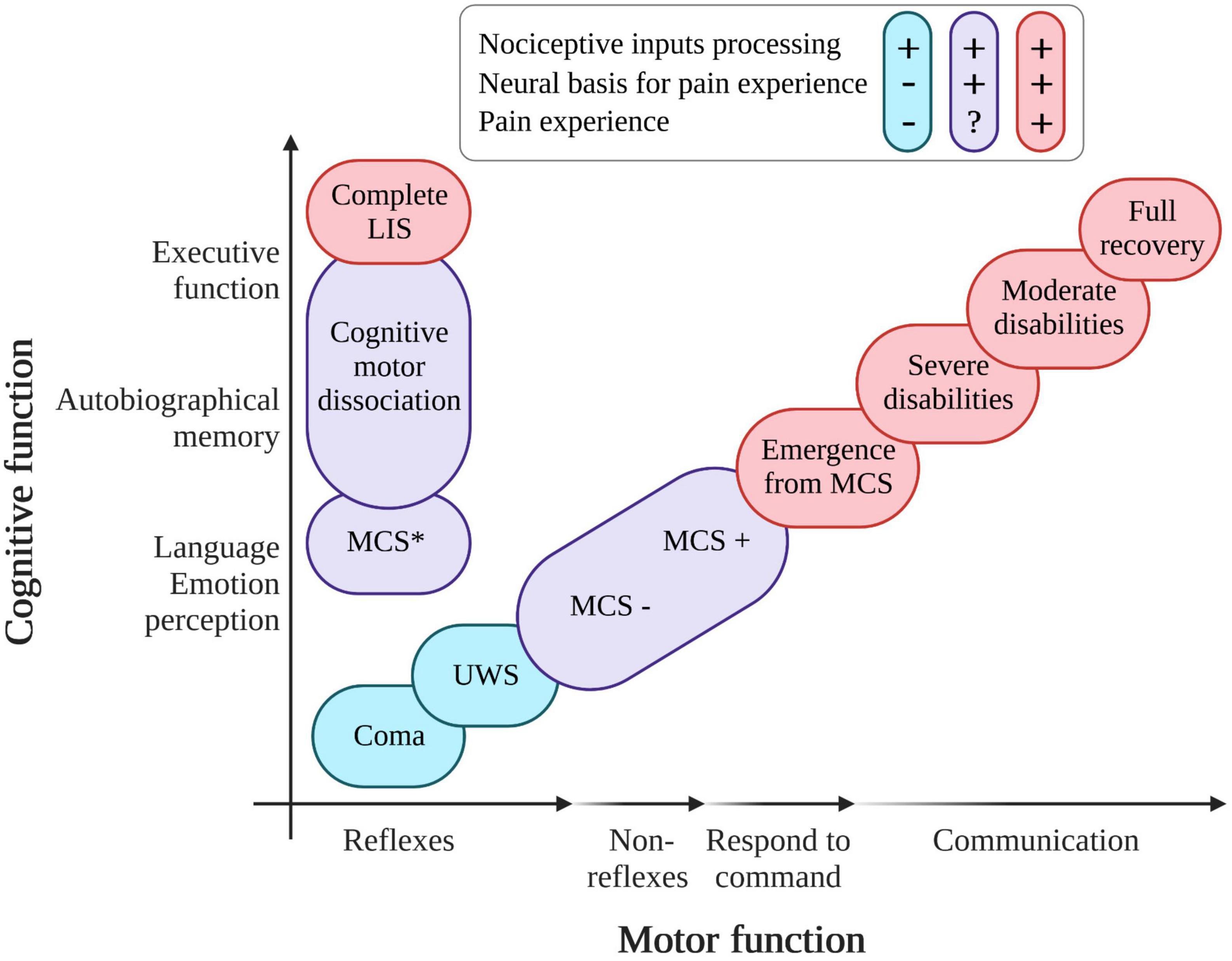 Frontiers Assessment and management of pain/nociception in patients with disorders of consciousness or locked-in syndrome A narrative review photo pic
