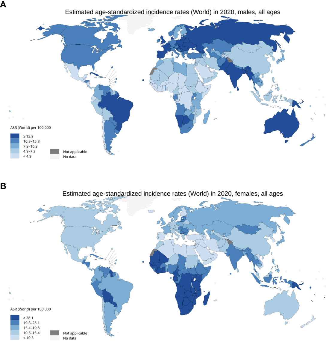 Frontiers Human papillomavirus in the setting of immunodeficiency Pathogenesis and the emergence of next-generation therapies to reduce the high associated cancer risk