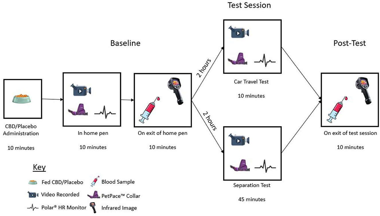 THC Drug Test Strip - Results In 5 Mins - Ovus Medical