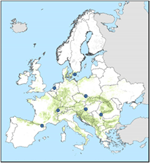 www.frontiersin.org