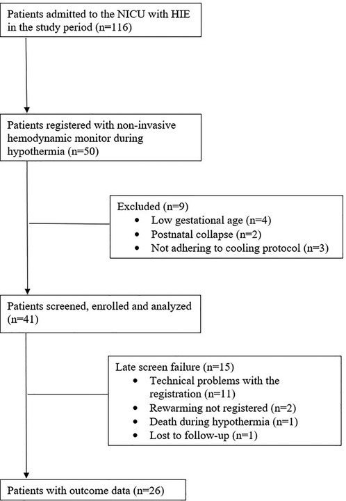 Frontiers Hemodynamic and Metabolic Assessment of Neonates With