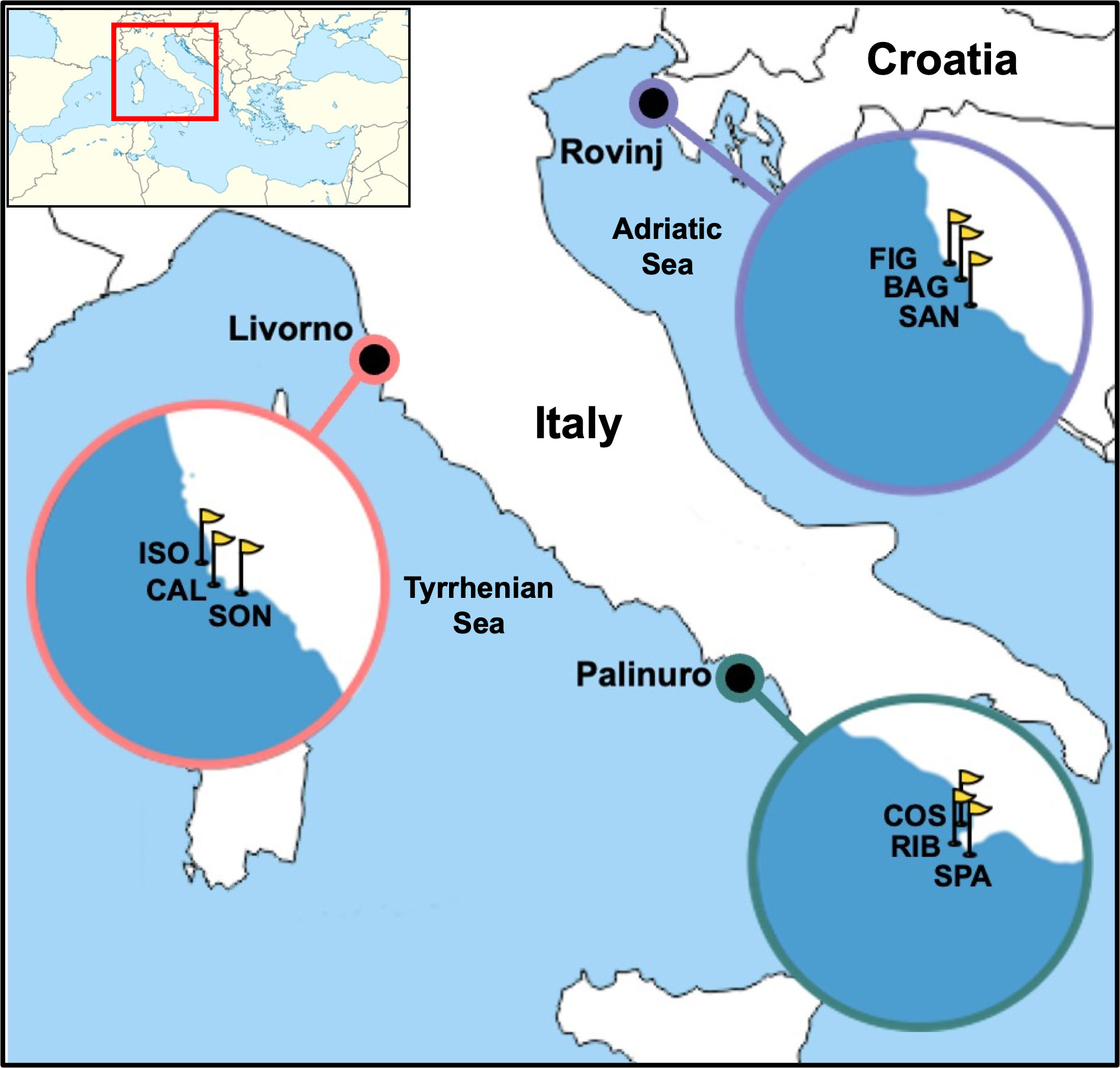 www.frontiersin.org