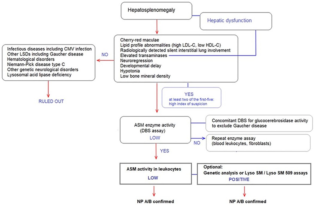 Niemann-Pick B - RS - 5th infusion.