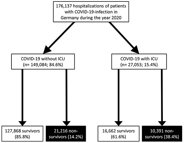 Patient flow diagram. CH Switzerland, GER Germany, AUT Austria