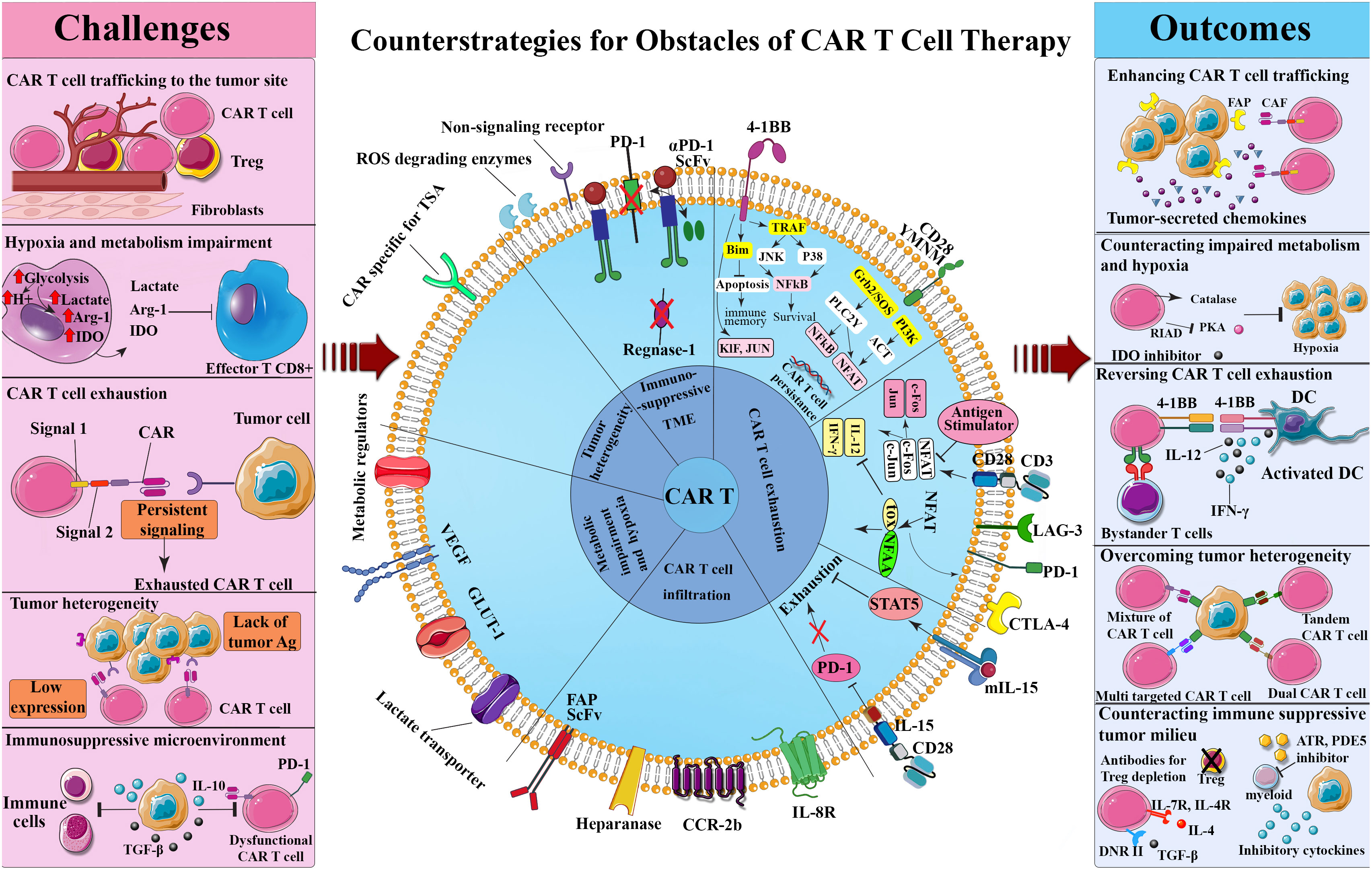 Frontiers  The current landscape of CAR T-cell therapy for solid tumors:  Mechanisms, research progress, challenges, and counterstrategies