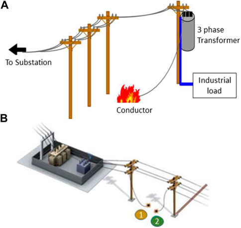 Frontiers  Application of signal processing techniques and