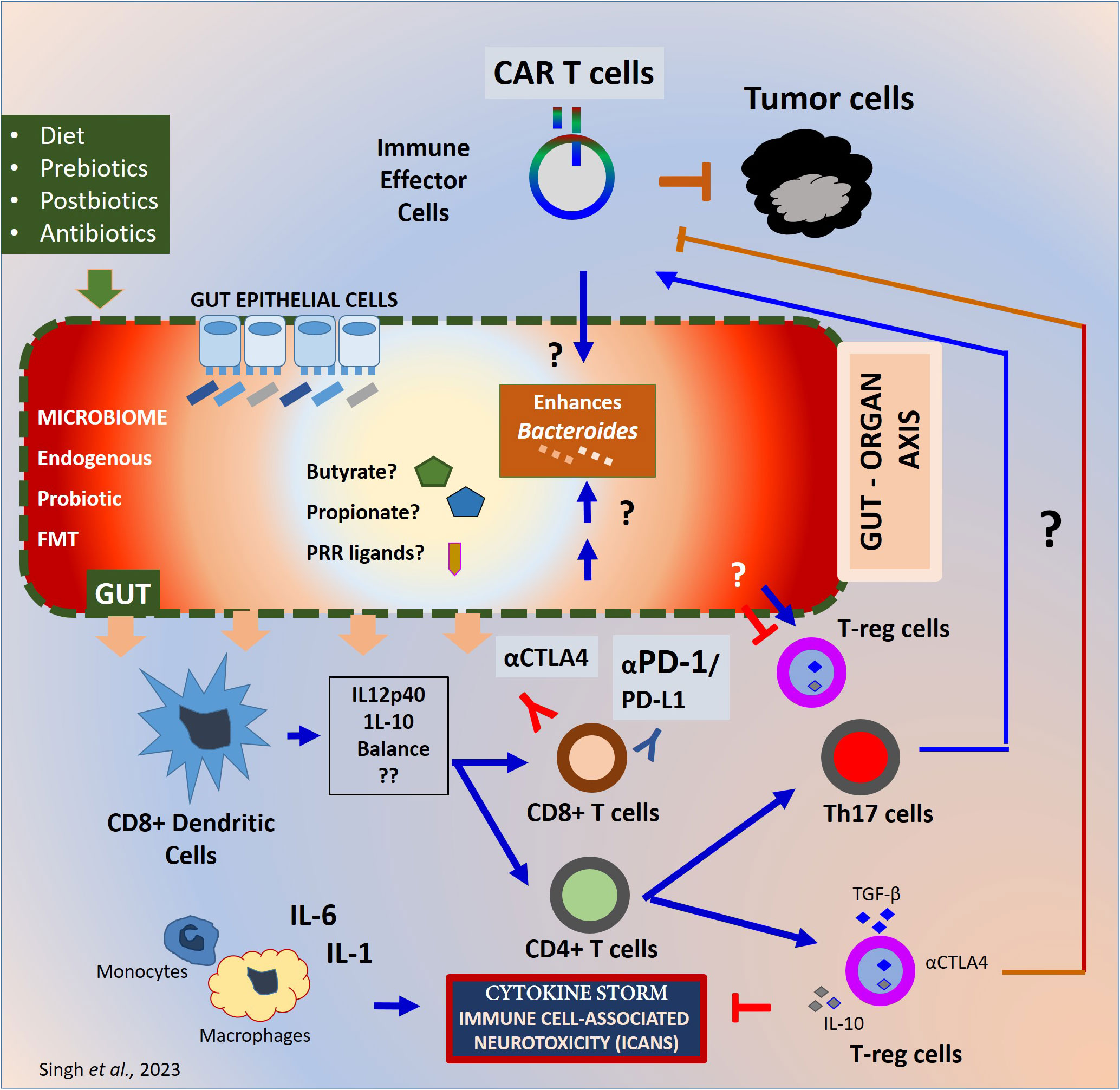 IMMUNE THERAPY – For The Biome