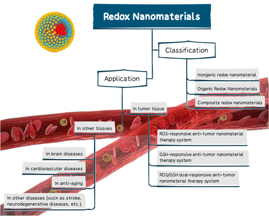 Frontiers  The progress of research on the application of redox  nanomaterials in disease therapy
