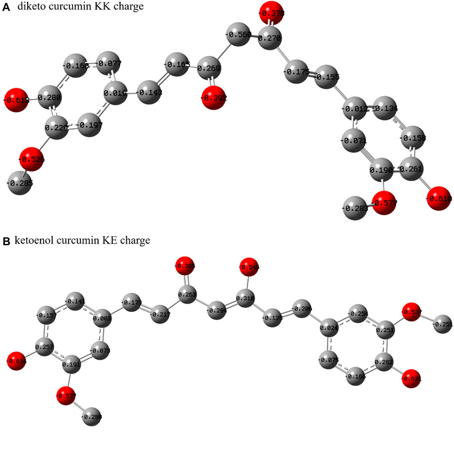 Frontiers | Interactions between curcumin and human salt