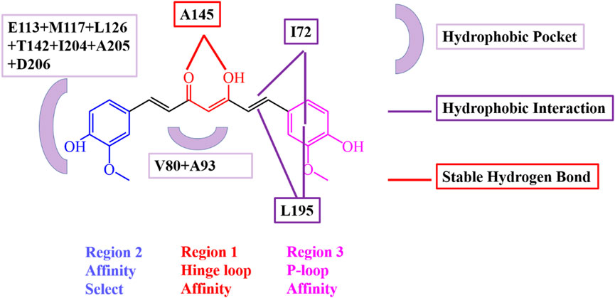 Frontiers | Interactions between curcumin and human salt