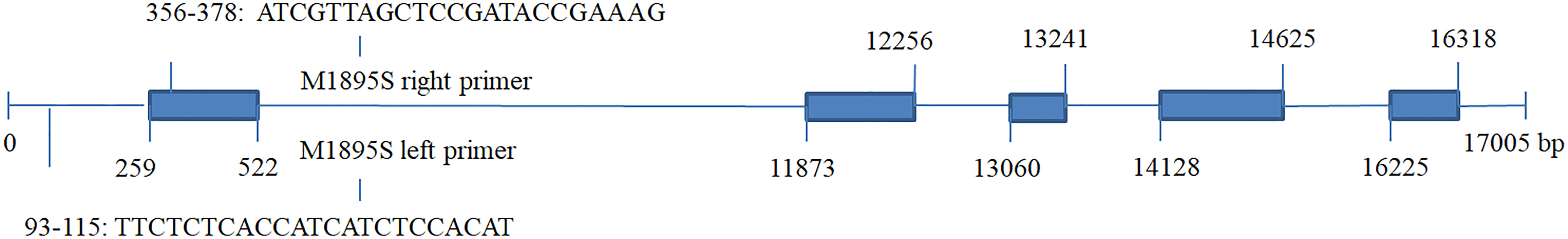 www.frontiersin.org