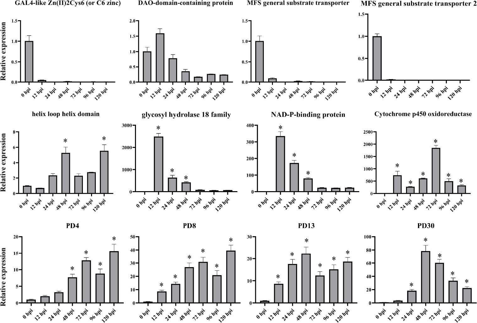 Frontiers Identification And Characterization Of Pathogenicity frontiers-identification-and-characterization-of-pathogenicity