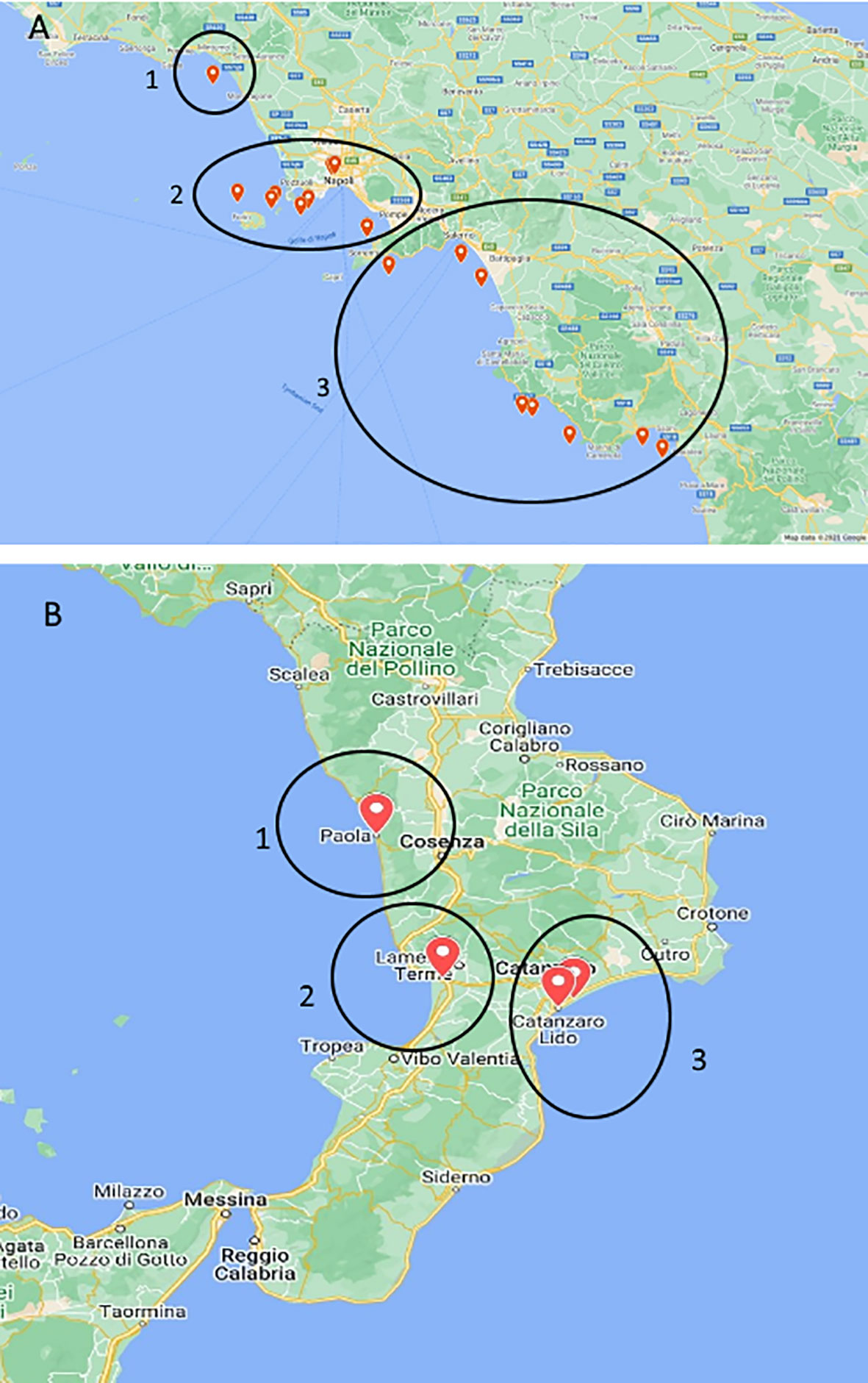 Mass stranding site, Adriatic coast, Southern Italy (Mediterranean