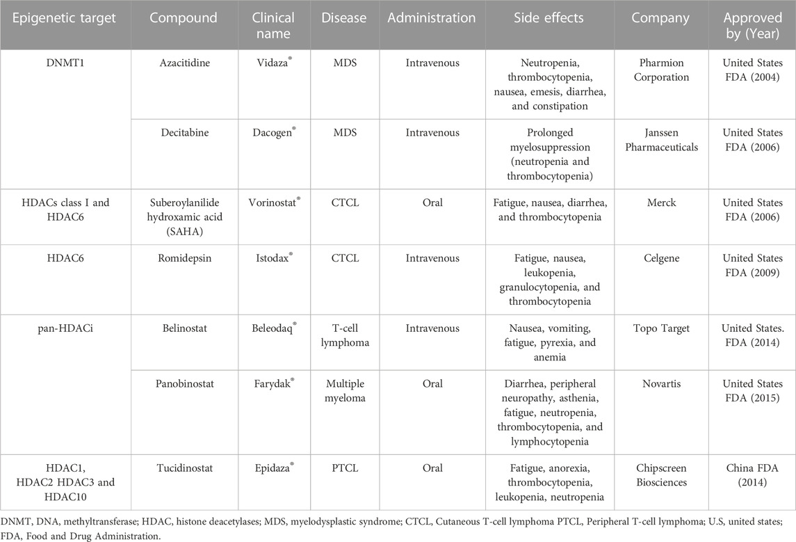 Frontiers | Epigenetic reprogramming in cancer: From diagnosis to 