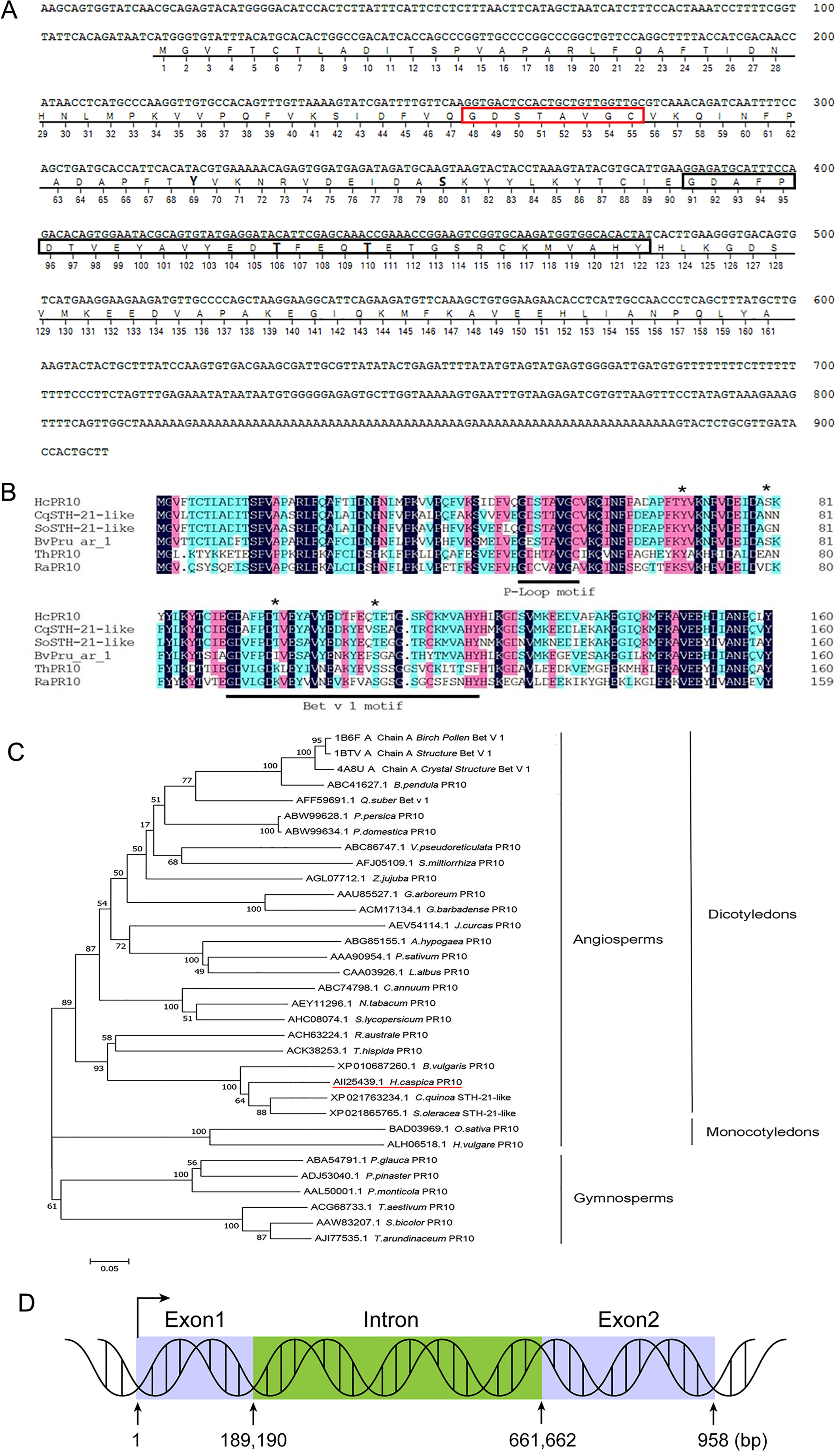 Frontiers   Halostachys caspica pathogenesis related protein