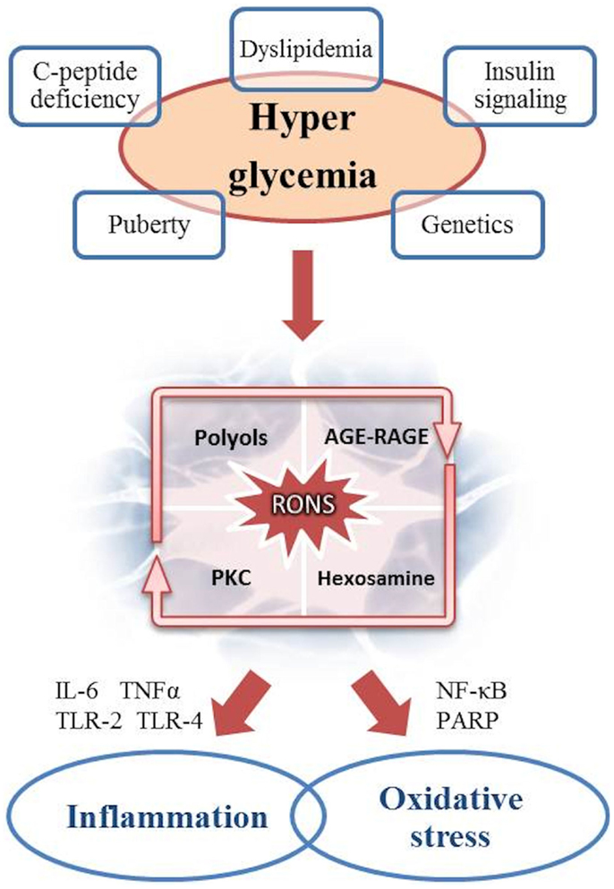 diabetic diarrhea autonomic neuropathy)