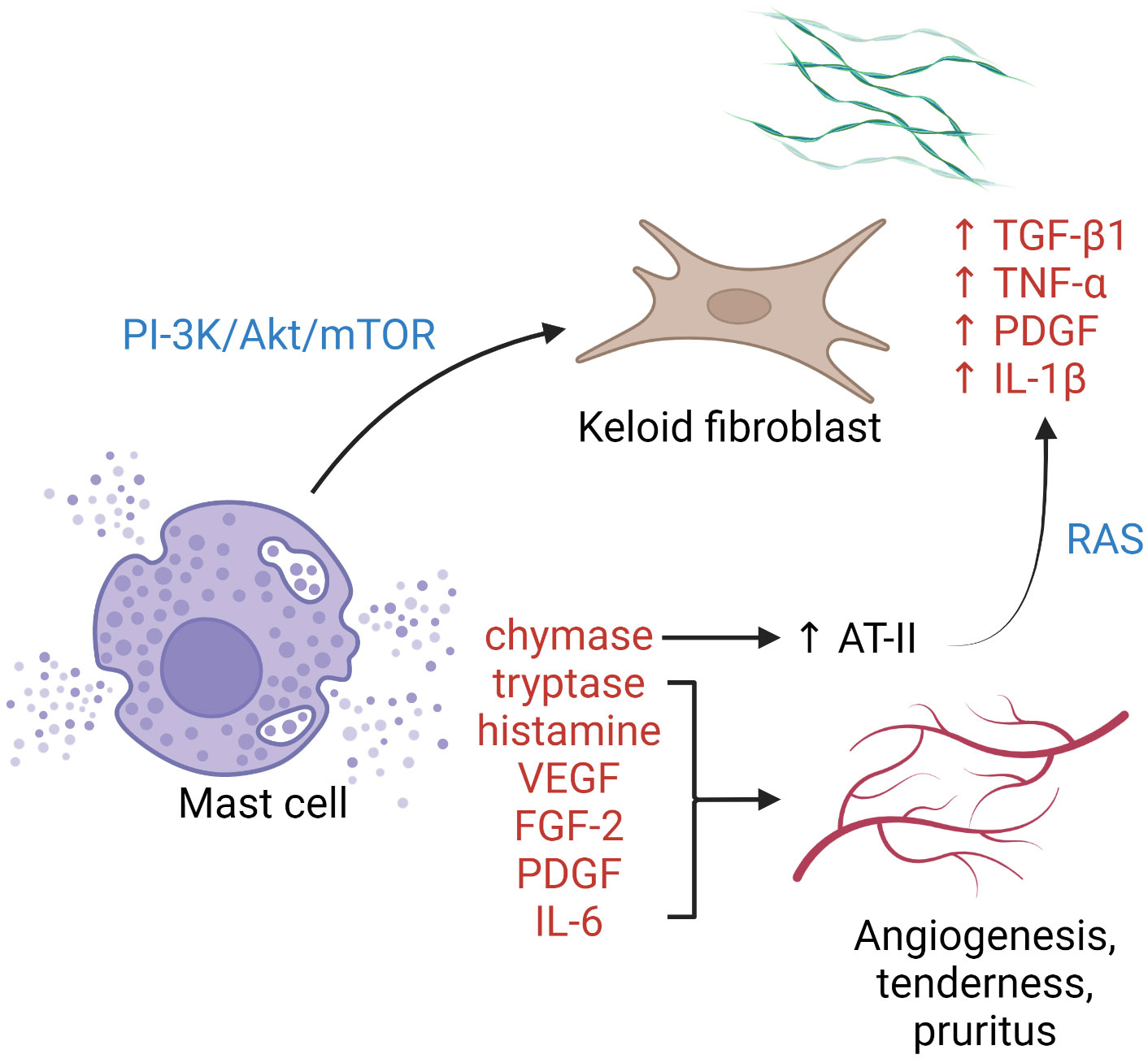 KRF Clinical Practice Guidelines in Keloid Disorder