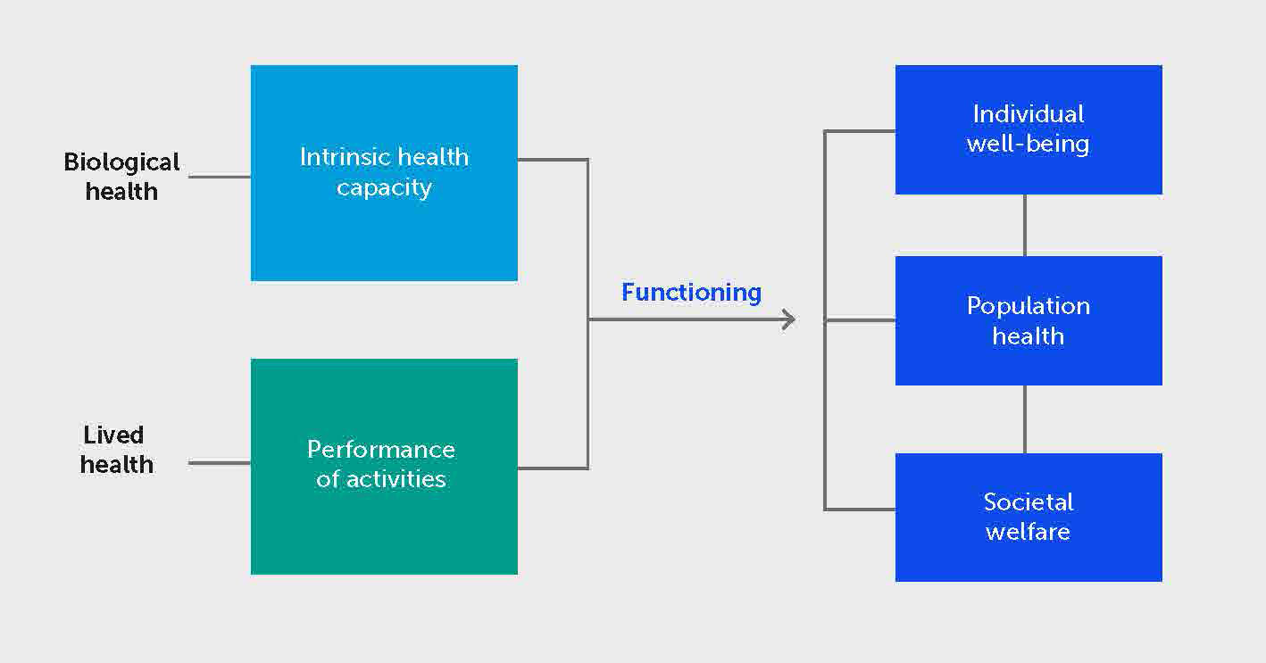 PDF) Looking for “normal”: Sense making in the context of health