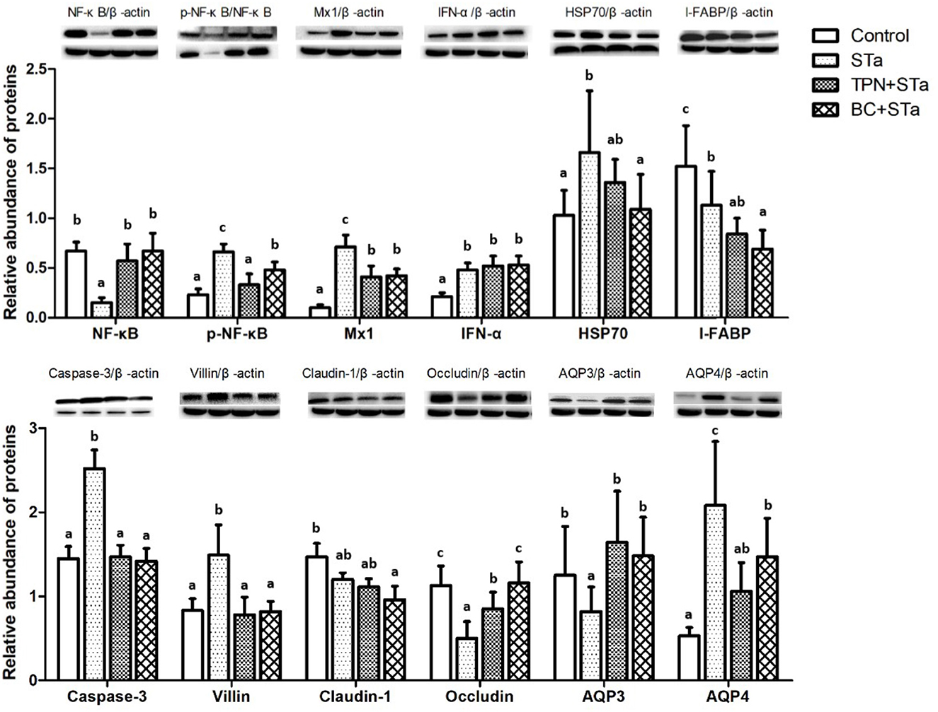 Rumored Buzz On Bacillus Coagulans Exposed