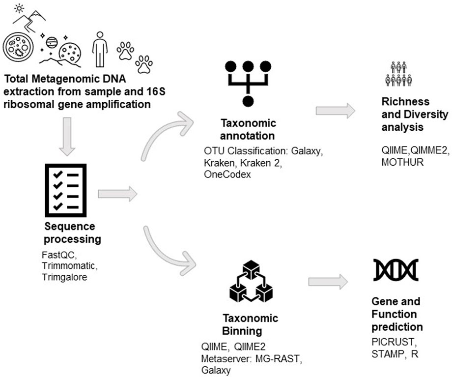 Frontiers  Decoding the microbial universe with metagenomics: a brief  insight