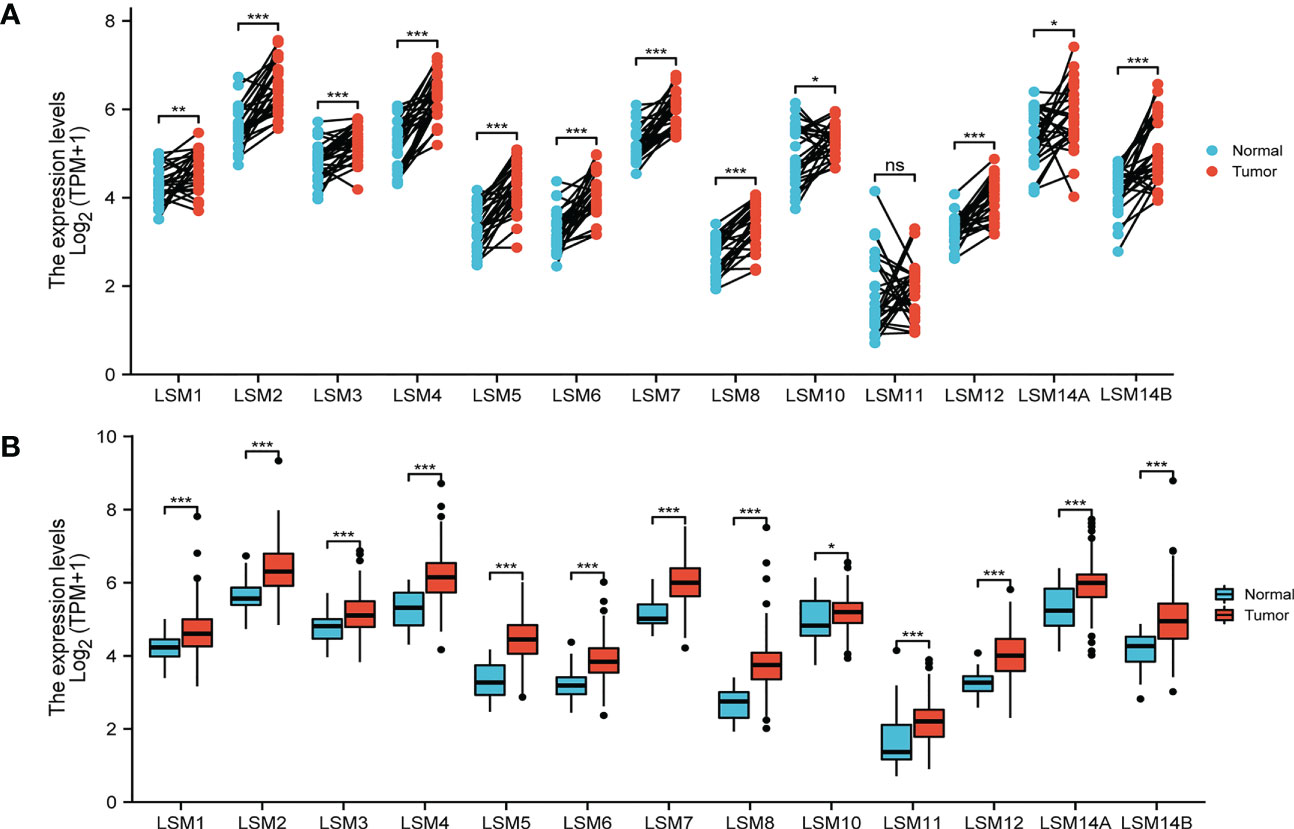 lsm17 pimpandhost Frontiers | Identification of LSM family members as potential  chemoresistance predictive and therapeutic biomarkers for gastric cancer