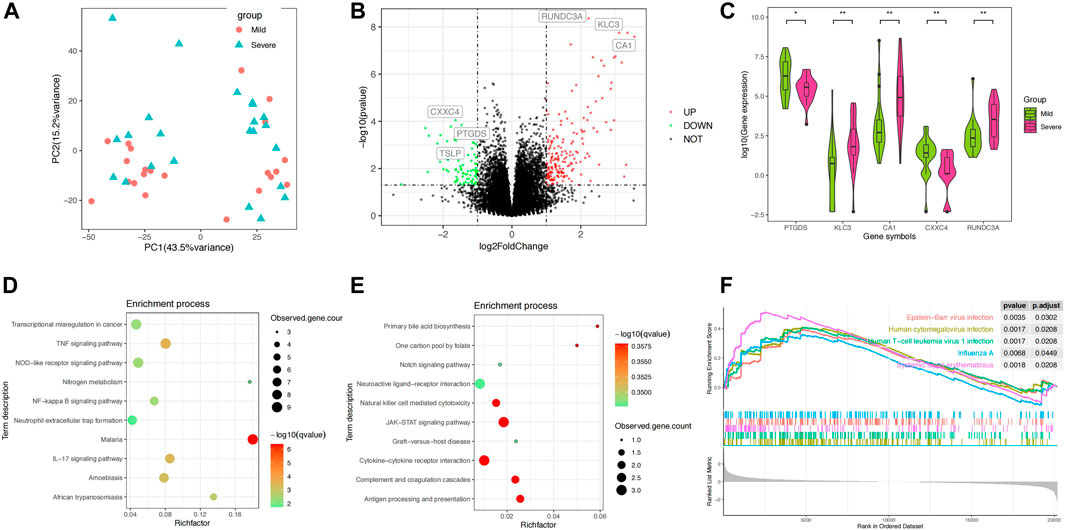 Frontiers | Transcriptome sequencing reveals novel molecular