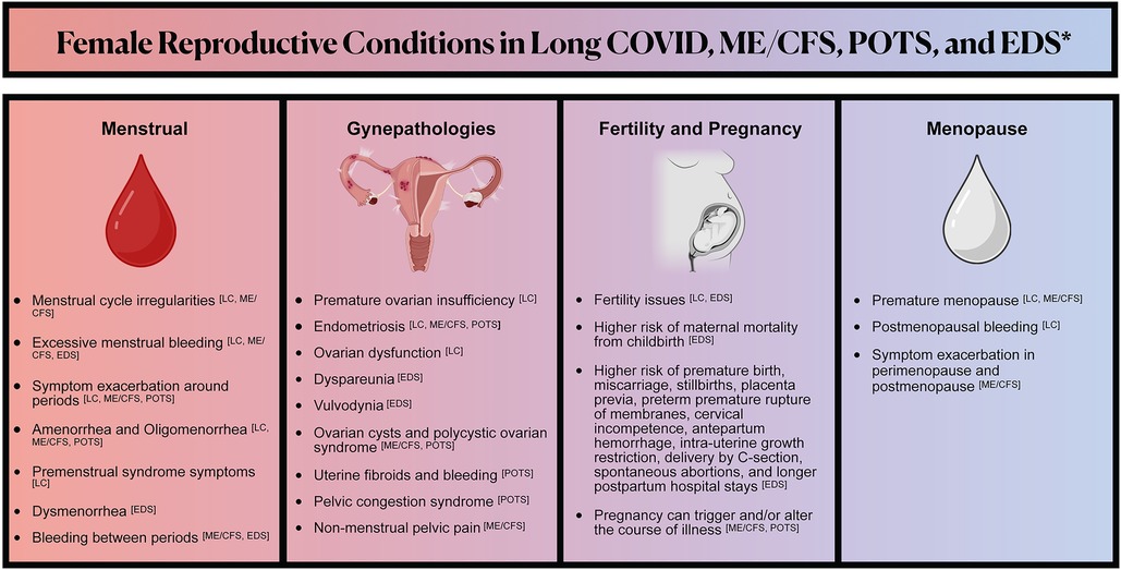 How middle-aged women's menopause, COVID vaccine concerns are being  dismissed