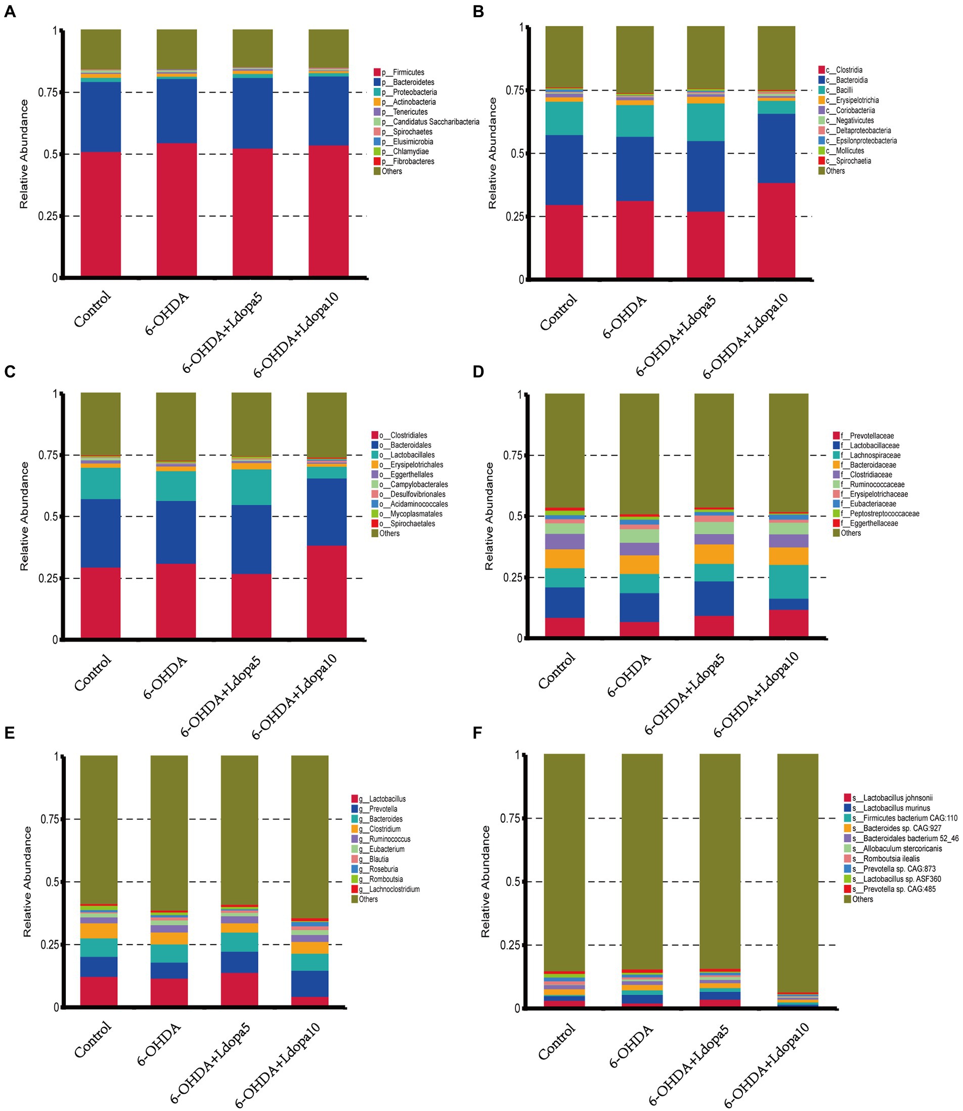 Frontiers | Effects of levodopa on gut bacterial antibiotic
