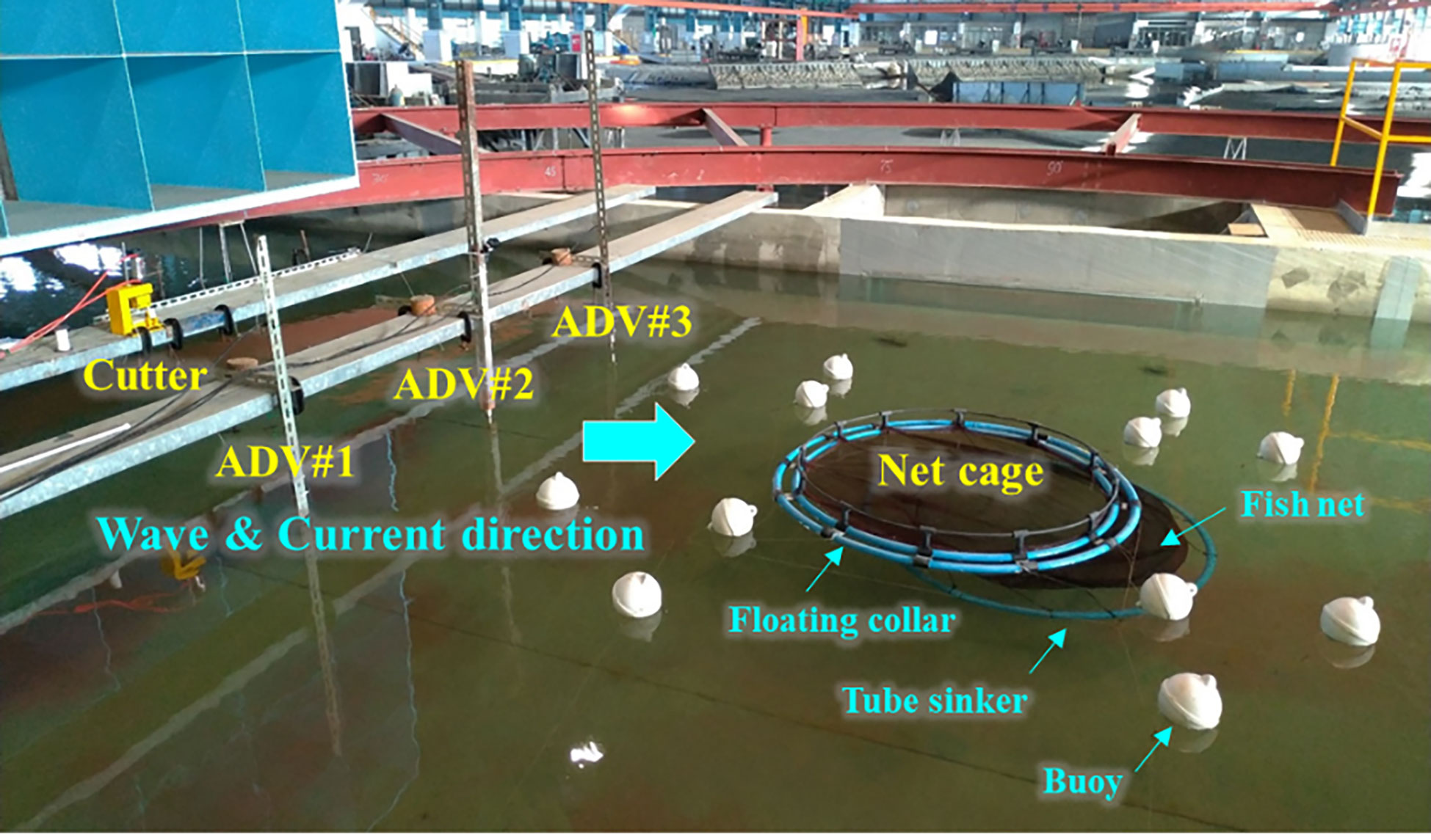 Frontiers  Experimental and numerical study on the hydrodynamic behaviors  of mooring line failure on a net cage in irregular waves and currents