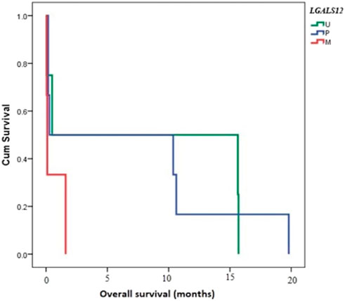 MSP for p15 methylation. Primers were for M sequence respectively