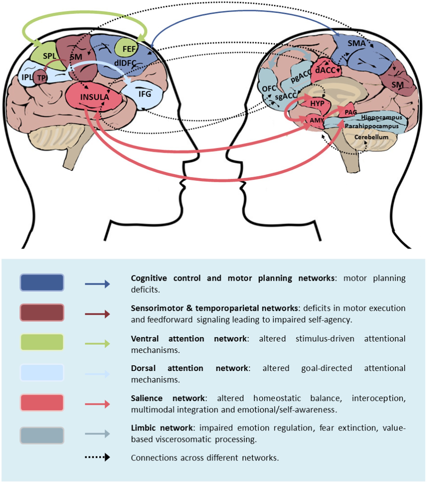 Cognitive impairments correlate with increased central nervous