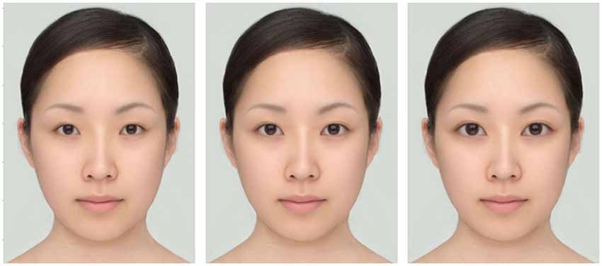 Lovely average eye size Frontiers A Real Life Illusion Of Assimilation In The Human Face Eye Size Caused By Eyebrows And Shadow Neuroscience Lovely average eye size Frontiers A Real Life Illusion Of Assimilation In The Human Face Eye Size Caused By Eyebrows And Shadow Neuroscience