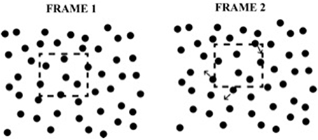 www.frontiersin.org