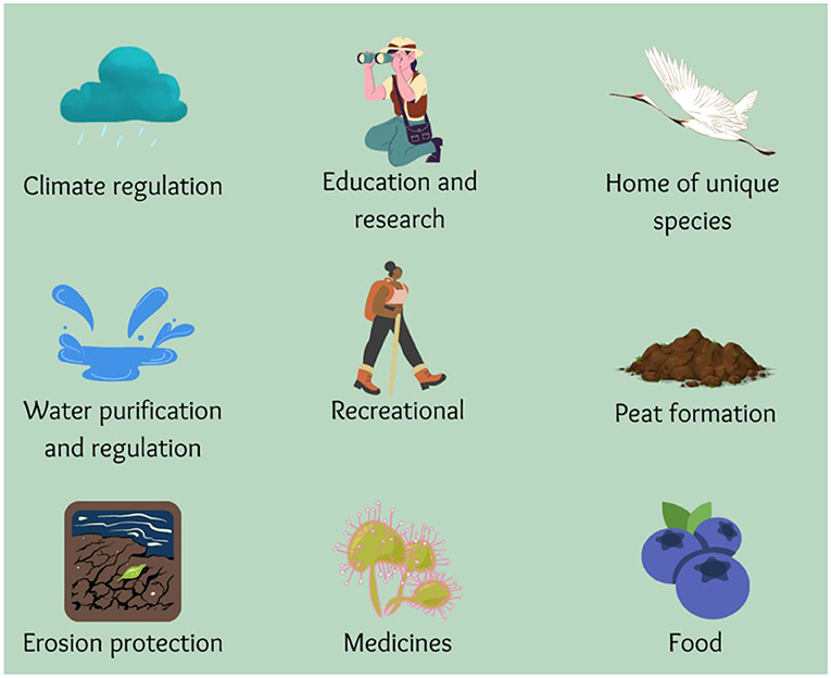 Figure 1 - Peatlands provide a number of important ecosystem services, which are benefits that humans receive from natural systems.