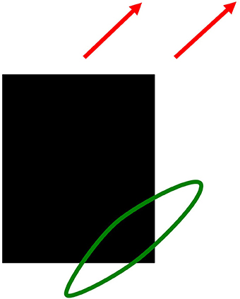 www.frontiersin.org