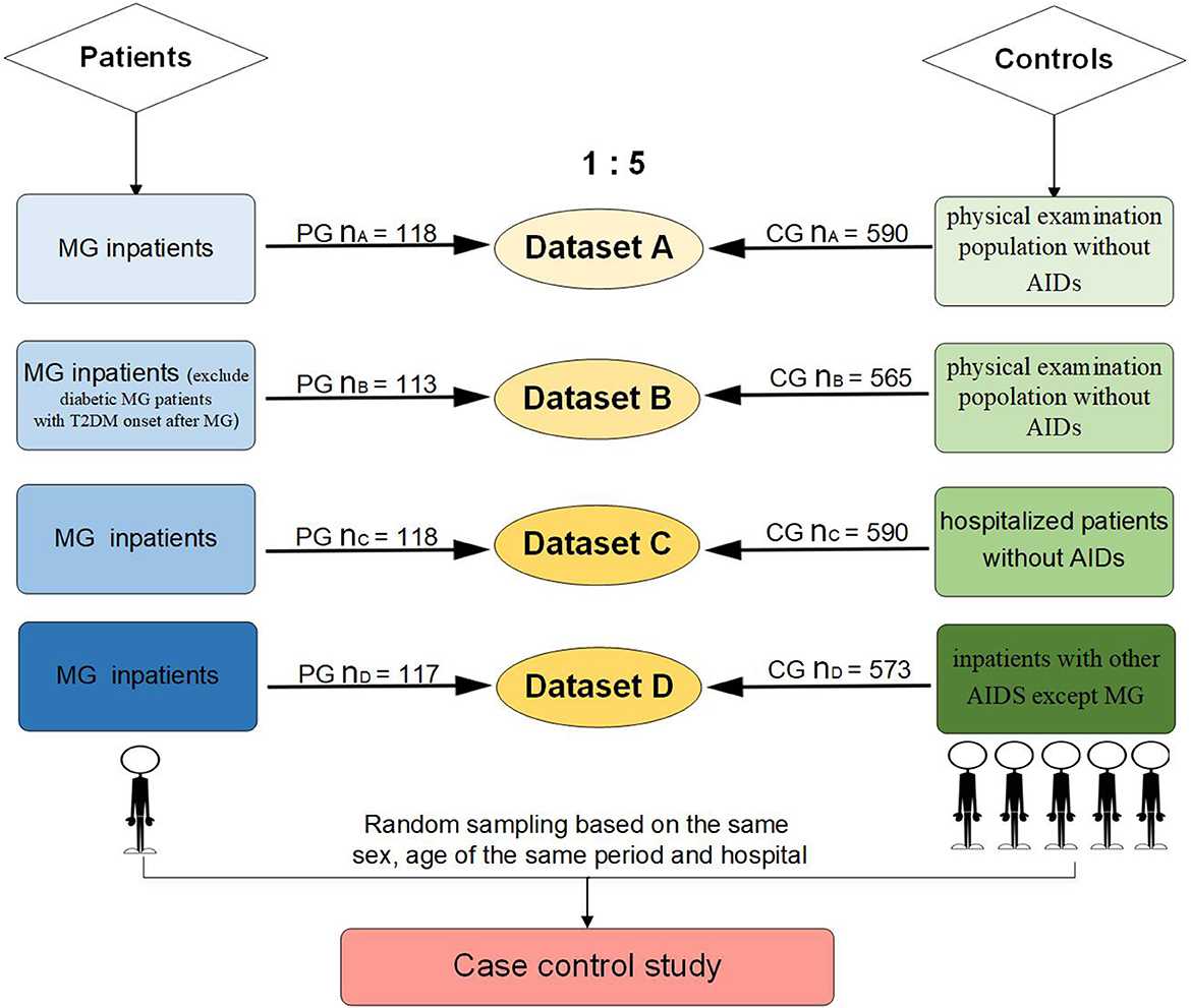 Romi Sleeping Sex Videos - Frontiers | Type 2 diabetes mellitus as a possible risk factor for  myasthenia gravis: a caseâ€“control study