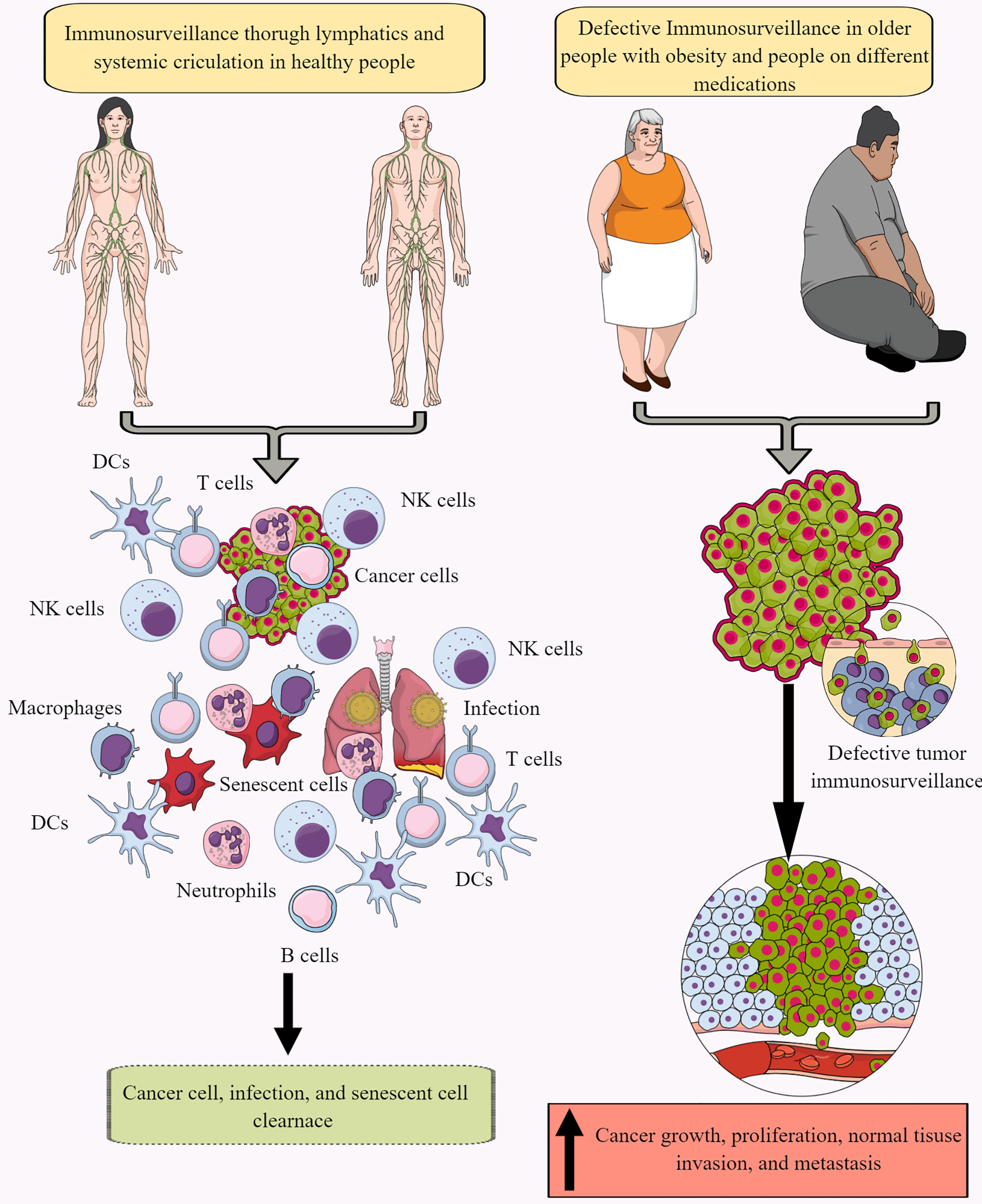 Frontiers  Immunometabolic reprogramming, another cancer hallmark