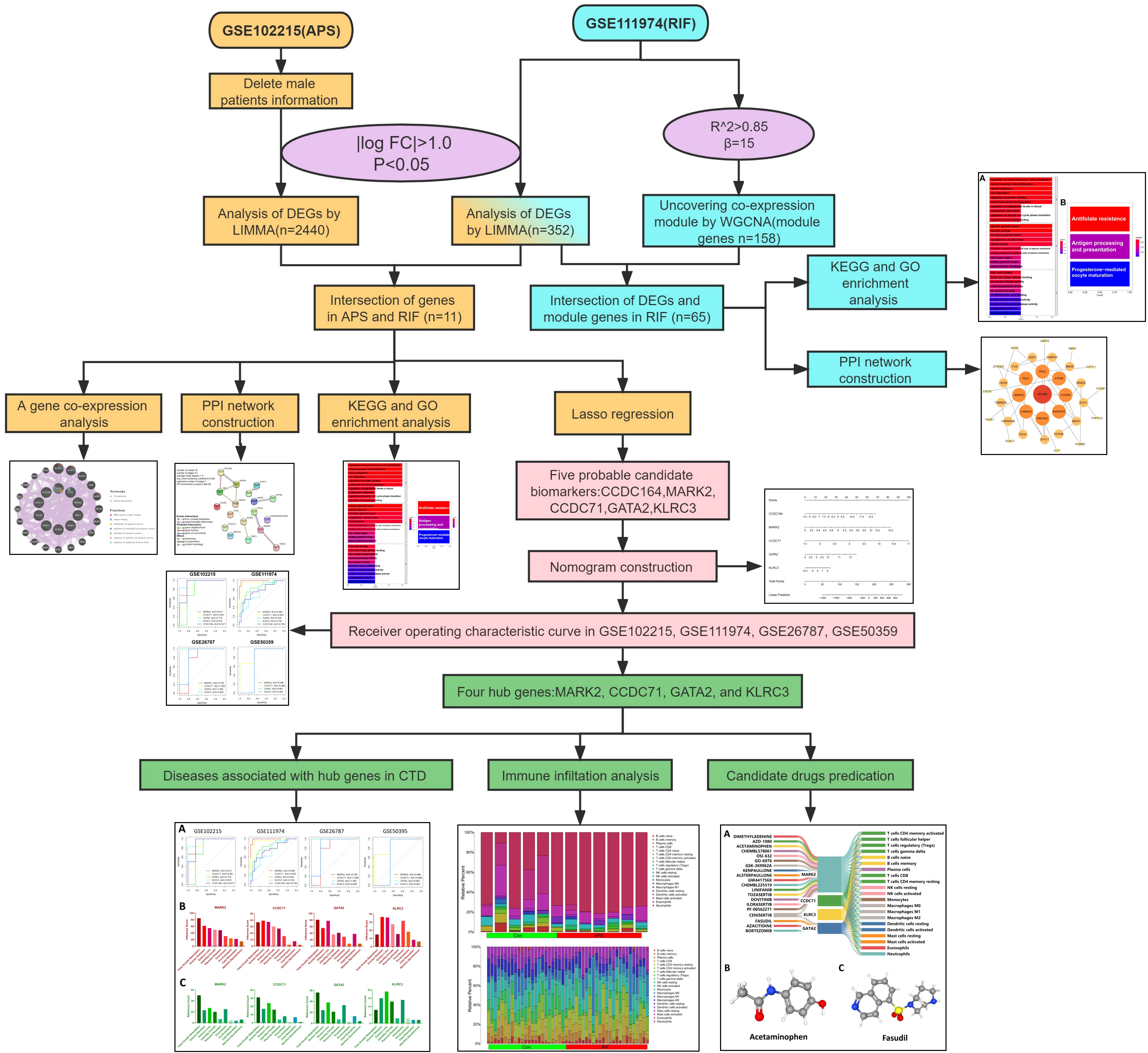 Frontiers  Identification of MARK2, CCDC71, GATA2, and KLRC3 as