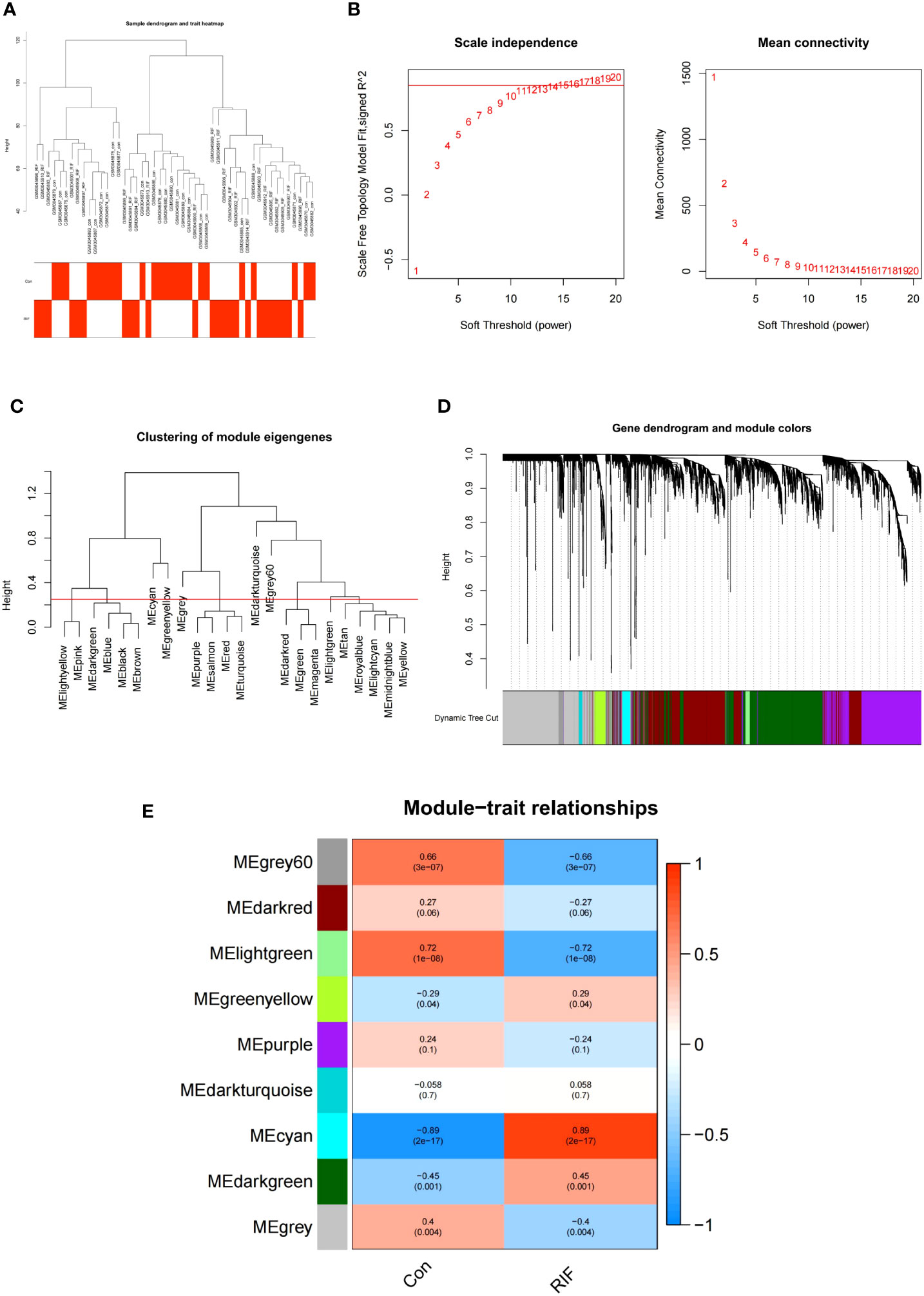 Frontiers  Identification of MARK2, CCDC71, GATA2, and KLRC3 as