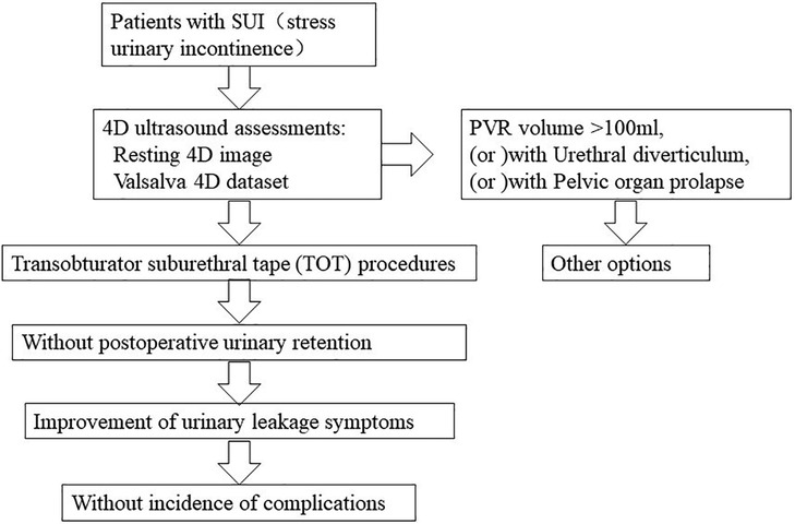 Frontiers  Significance of 4D US parameters for the clinical treatment of  female patients with stress urinary incontinence