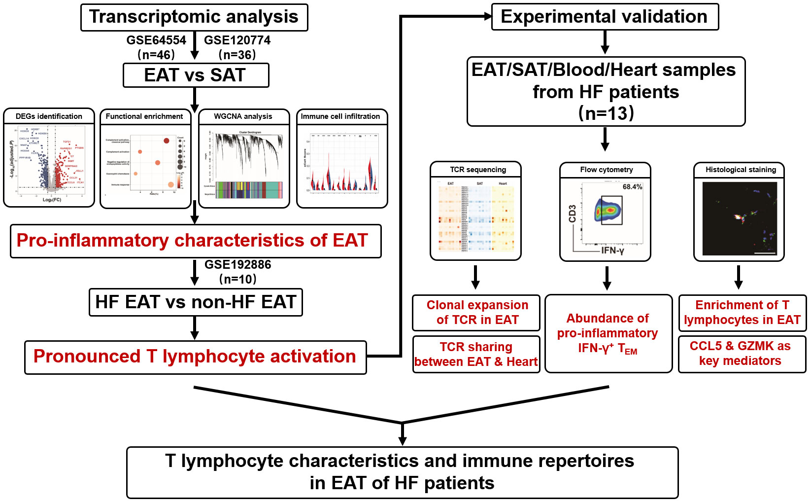 Frontiers  Deleterious Effects of Epicardial Adipose Tissue