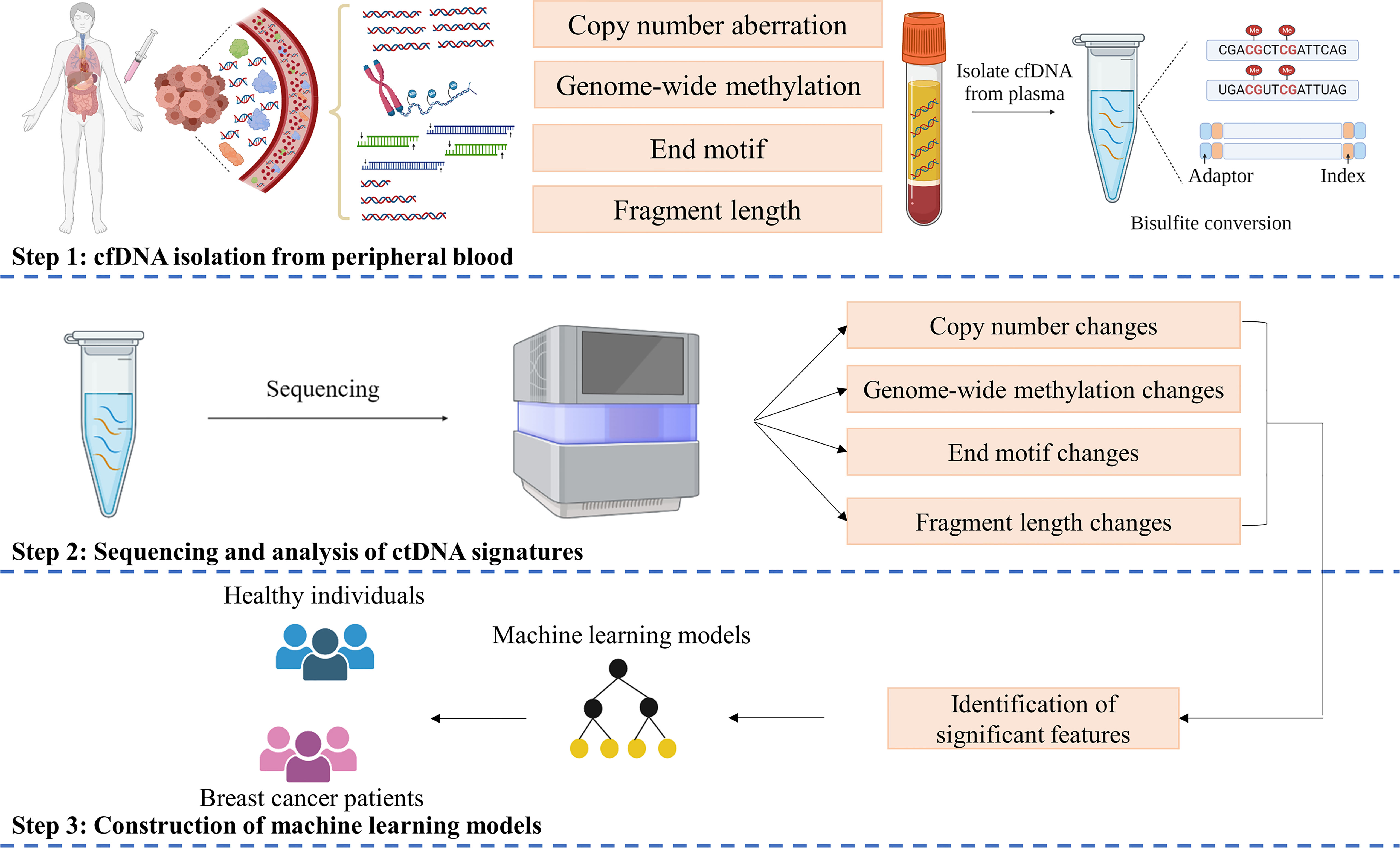 DREAMS: deep read-level error model for sequencing data applied to  low-frequency variant calling and circulating tumor DNA detection, Genome  Biology