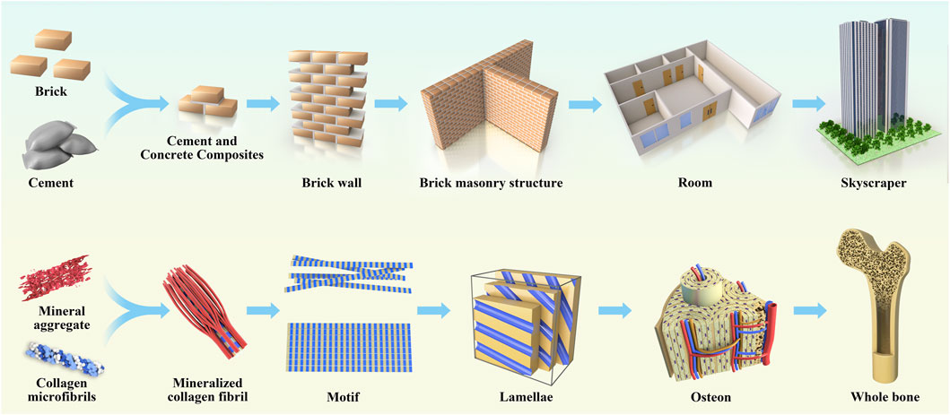 PDF) Development of hydroxiapatite porous bioceramics for use as