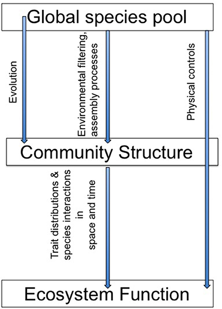 www.frontiersin.org