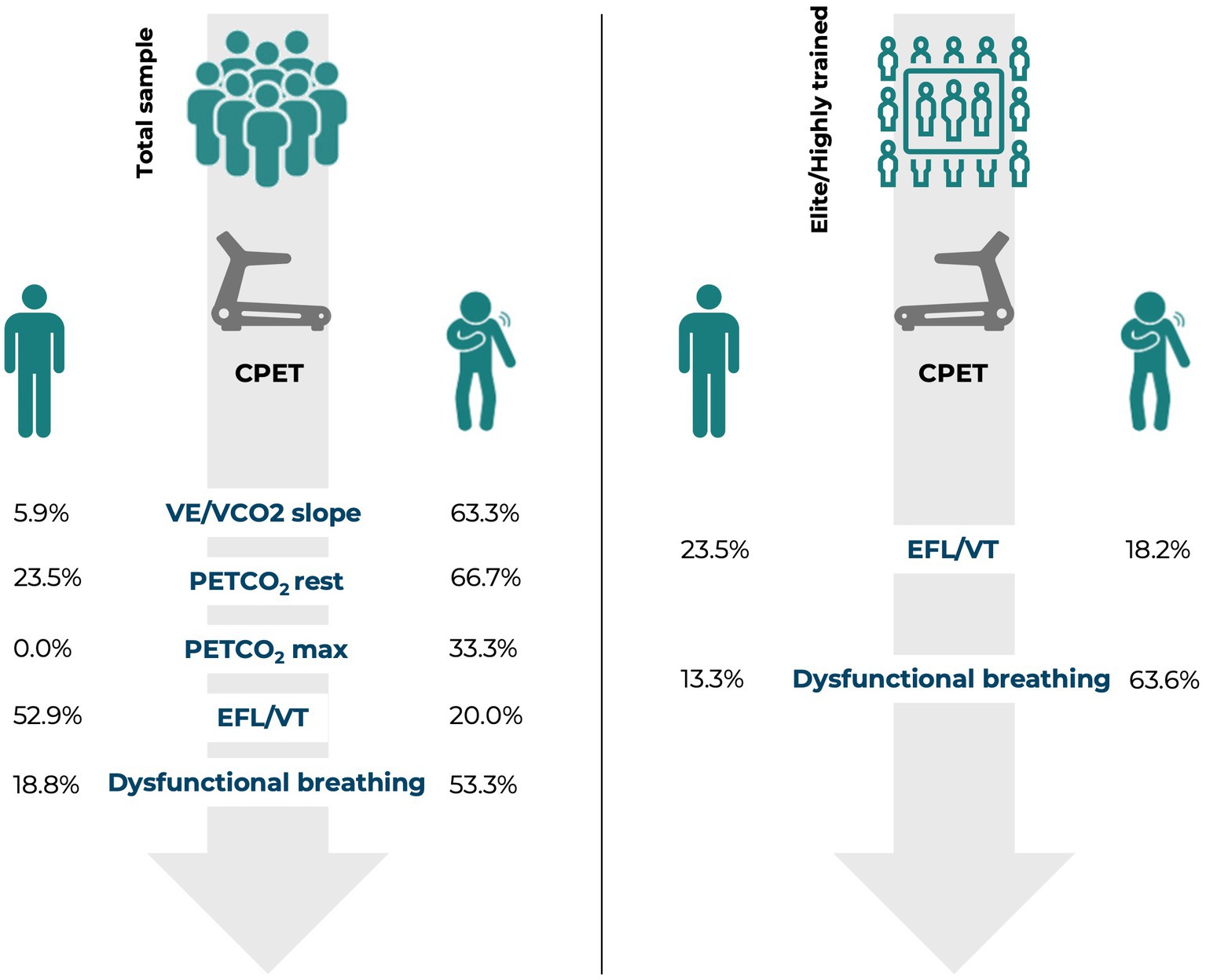 Frontiers  The utility of cardiopulmonary exercise testing in