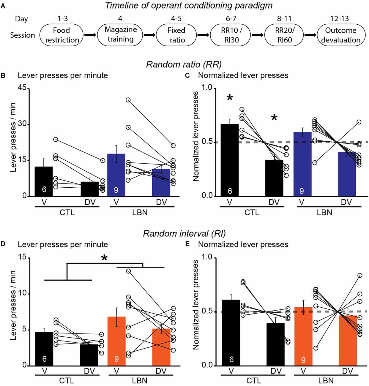 Rat resistance to rheumatoid arthritis induction as a function of the  early‐phase adrenal–pineal crosstalk - Córdoba‐Moreno - 2023 - The Journal  of Physiology - Wiley Online Library