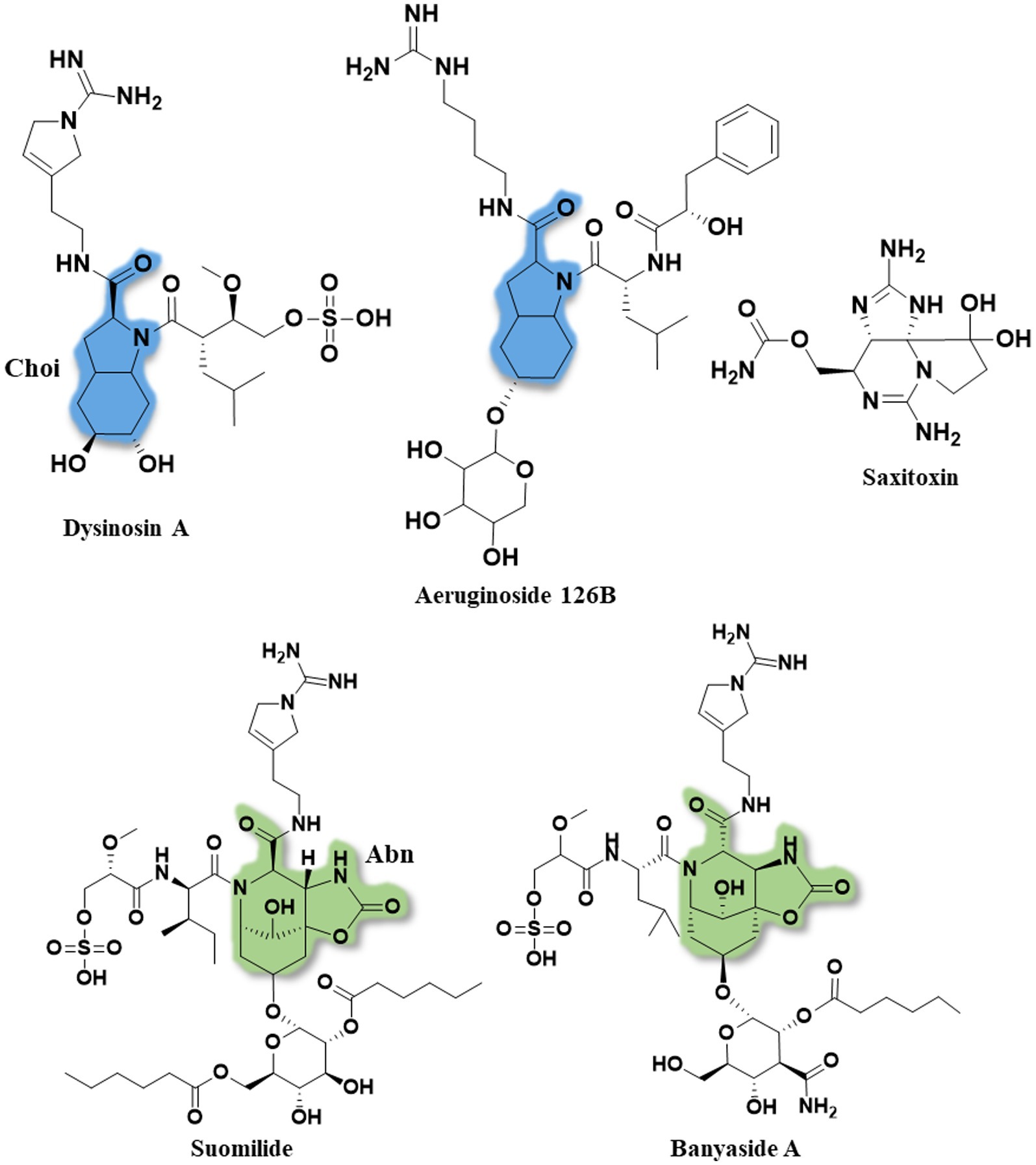 Four new suomilides isolated from the cyanobacterium Nostoc sp. KVJ20 and proposal of their biosynthetic origin Four new suomilides isolated from the cyanobacterium Nostoc sp. KVJ20 and proposal of their biosynthetic origin